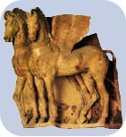 Tarquinia