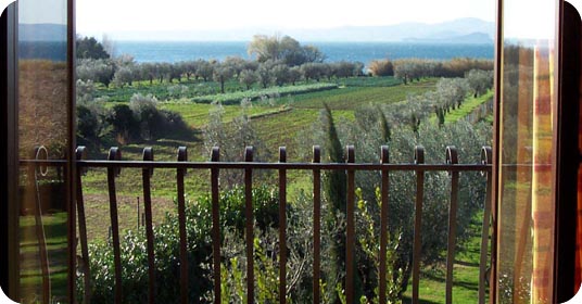 Vista dell'azienda e del lago